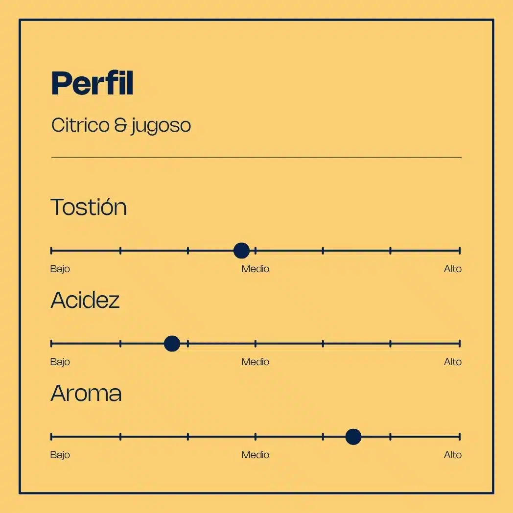 Gráfica de perfil cítrico y jugoso de café de especialidad Broo, proceso miel, tostión media-alta, ideal caturra Colombia.