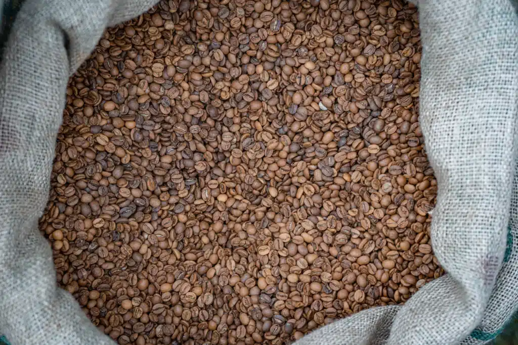 Costal de fique abierto lleno de granos de café verde sin tostar